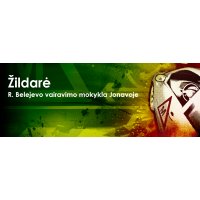 Žildarė, vairavimo mokykla